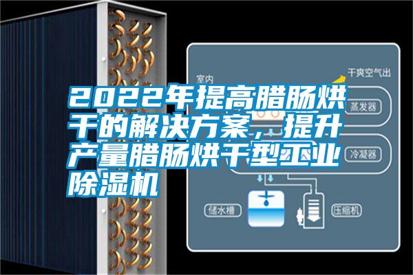 2022年提高臘腸烘干的解決方案，提升產(chǎn)量臘腸烘干型工業(yè)除濕機(jī)