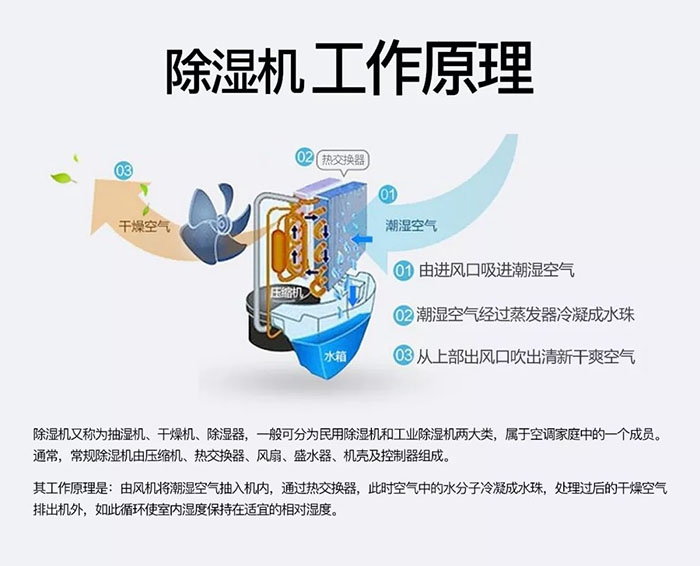 潮濕天氣狗最容易患上這種毛??！三個(gè)注意事項(xiàng)，鏟屎官一定要看看