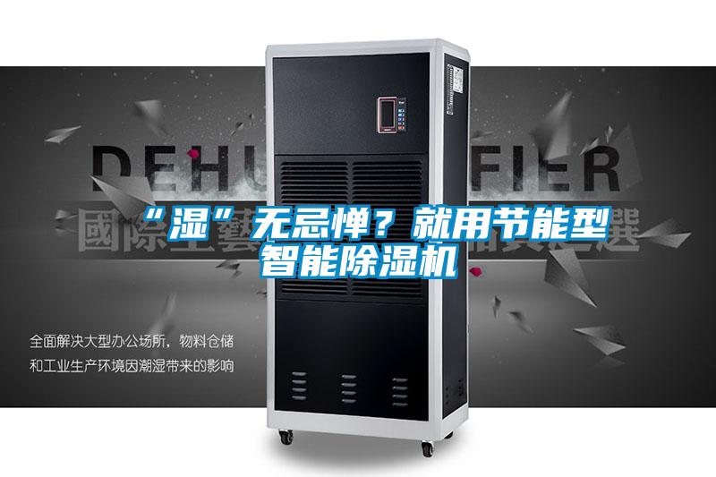 “濕”無忌憚？就用節(jié)能型智能除濕機