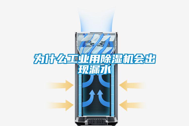 為什么工業(yè)用除濕機(jī)會出現(xiàn)漏水