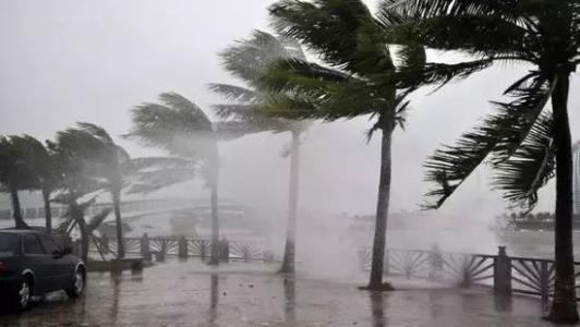 8月臺風(fēng)雨即將來，除濕機還得用起來