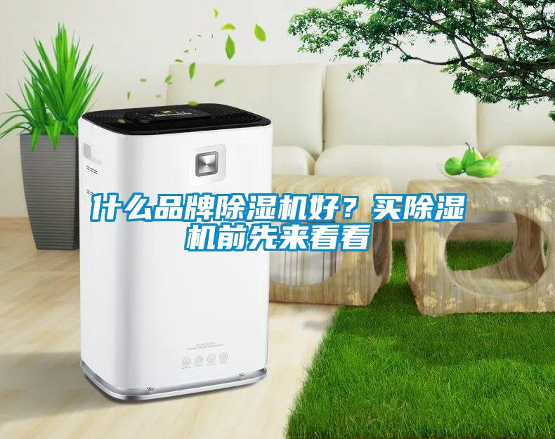 什么品牌除濕機好？買除濕機前先來看看