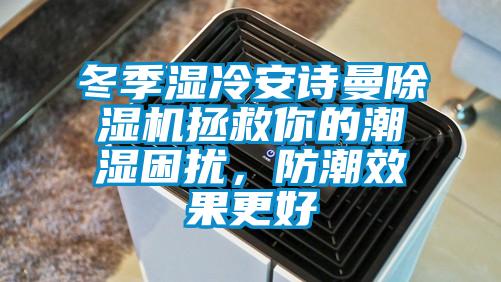 冬季濕冷安詩曼除濕機拯救你的潮濕困擾，防潮效果更好