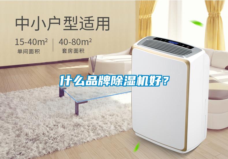 什么品牌除濕機(jī)好？