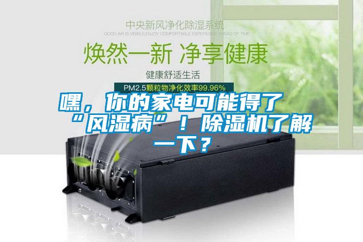 嘿，你的家電可能得了“風(fēng)濕病”！除濕機了解一下？