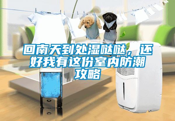 回南天到處濕噠噠，還好我有這份室內(nèi)防潮攻略