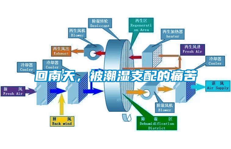 回南天，被潮濕支配的痛苦