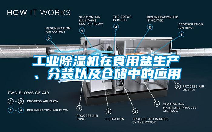 工業(yè)除濕機(jī)在食用鹽生產(chǎn)、分裝以及倉(cāng)儲(chǔ)中的應(yīng)用