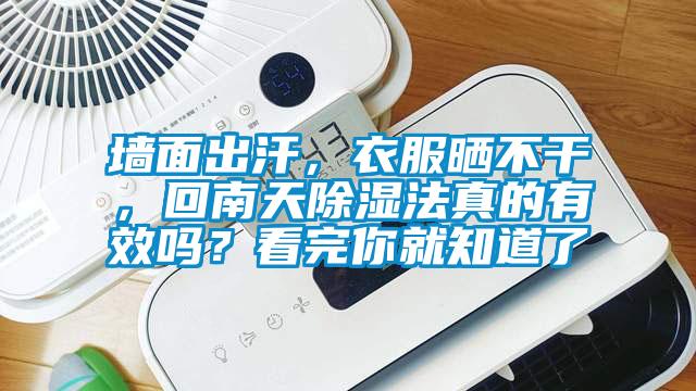 墻面出汗，衣服曬不干，回南天除濕法真的有效嗎？看完你就知道了