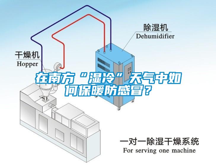 在南方“濕冷”天氣中如何保暖防感冒？