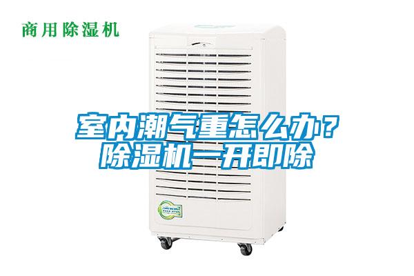 室內(nèi)潮氣重怎么辦？除濕機一開即除