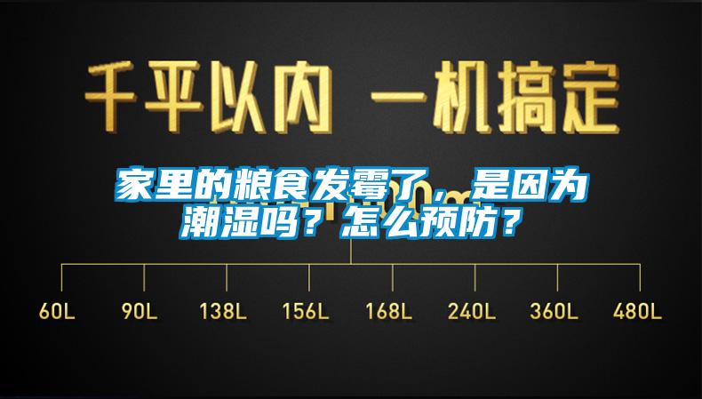 家里的糧食發(fā)霉了，是因為潮濕嗎？怎么預防？