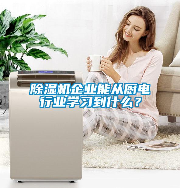 除濕機(jī)企業(yè)能從廚電行業(yè)學(xué)習(xí)到什么？