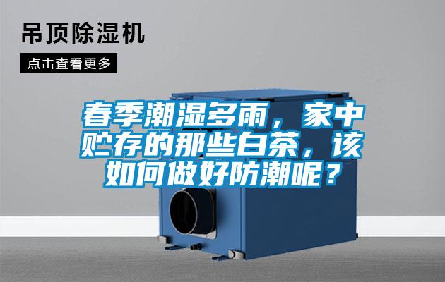 春季潮濕多雨，家中貯存的那些白茶，該如何做好防潮呢？