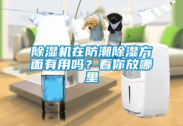 除濕機(jī)在防潮除濕方面有用嗎？看你放哪里