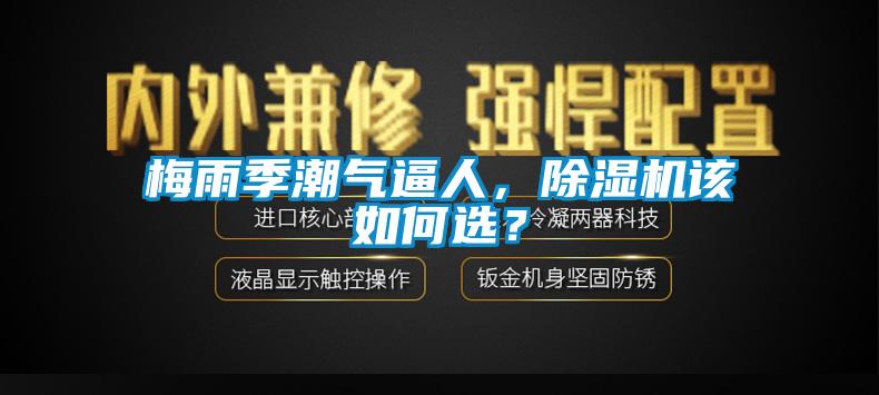 梅雨季潮氣逼人，除濕機(jī)該如何選？