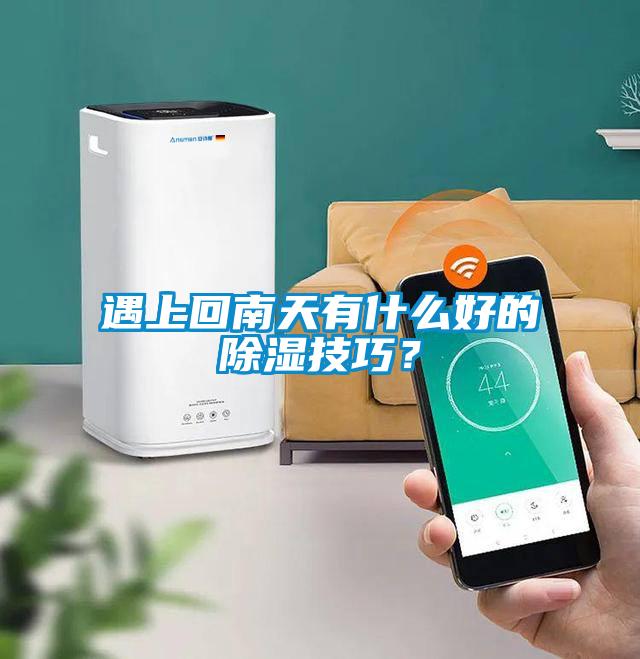 遇上回南天有什么好的除濕技巧？