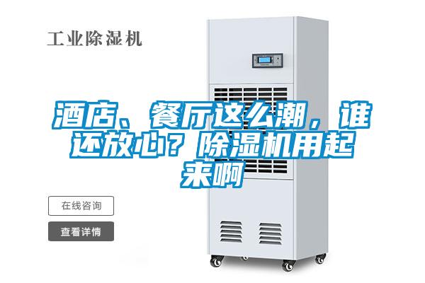 酒店、餐廳這么潮，誰還放心？除濕機(jī)用起來啊