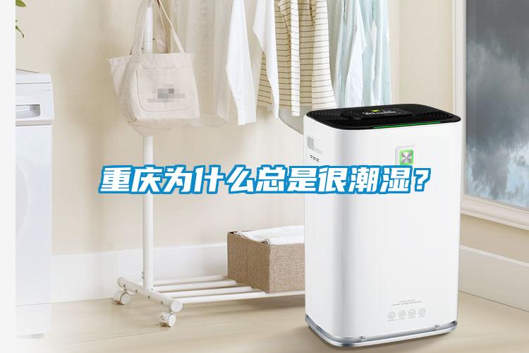 重慶為什么總是很潮濕？