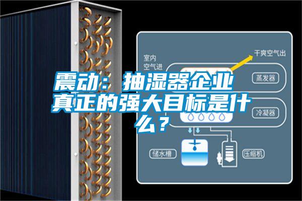 震動(dòng)：抽濕器企業(yè) 真正的強(qiáng)大目標(biāo)是什么？