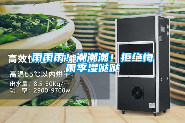 雨雨雨！潮潮潮！拒絕梅雨季濕噠噠