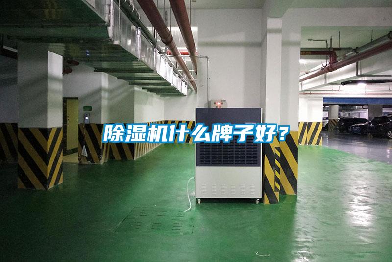 除濕機什么牌子好？