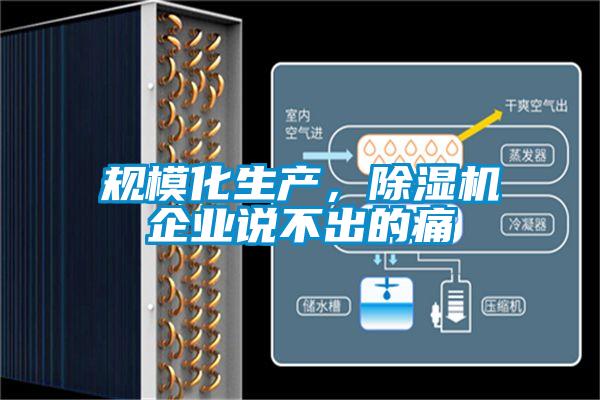 規(guī)模化生產(chǎn)，除濕機(jī)企業(yè)說不出的痛
