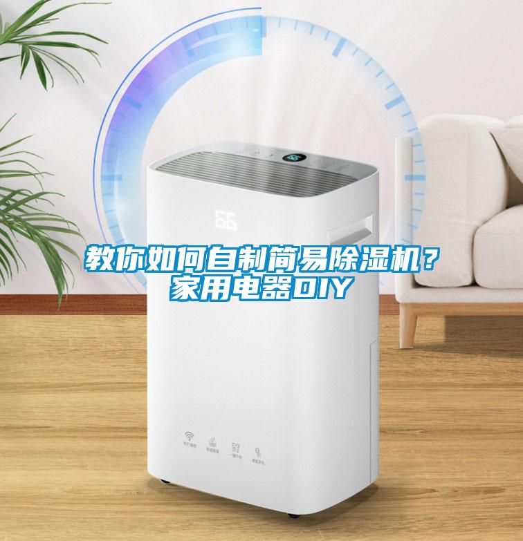 教你如何自制簡(jiǎn)易除濕機(jī)？家用電器DIY