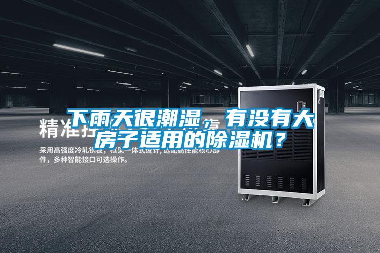 下雨天很潮濕，有沒有大房子適用的除濕機(jī)？
