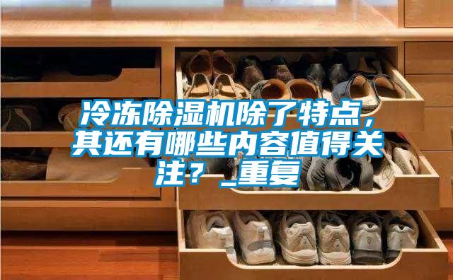 冷凍除濕機(jī)除了特點(diǎn)，其還有哪些內(nèi)容值得關(guān)注？_重復(fù)
