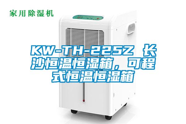 KW-TH-225Z 長沙恒溫恒濕箱，可程式恒溫恒濕箱