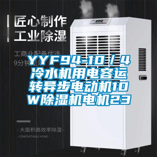 YYF94-10／4冷水機(jī)用電容運轉(zhuǎn)異步電動機(jī)10W除濕機(jī)電機(jī)23