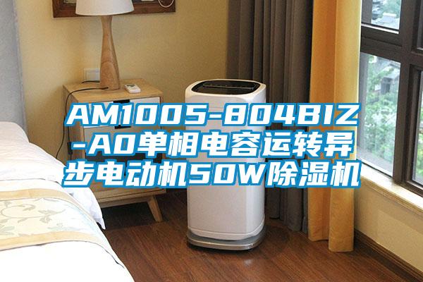 AM1005-804BIZ-A0單相電容運轉(zhuǎn)異步電動機(jī)50W除濕機(jī)