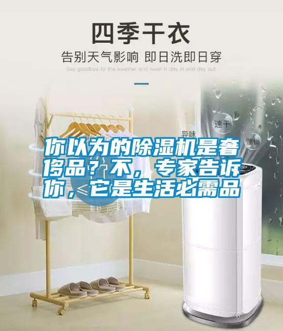 你以為的除濕機(jī)是奢侈品？不，專家告訴你，它是生活必需品