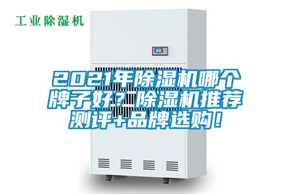 2021年除濕機哪個牌子好？除濕機推薦測評+品牌選購！