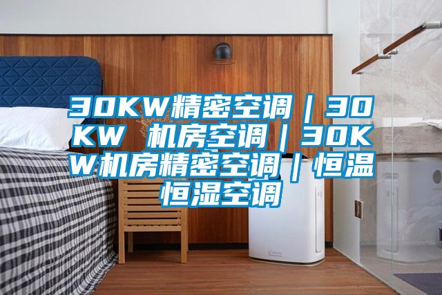 30KW精密空調(diào)｜30KW 機(jī)房空調(diào)｜30KW機(jī)房精密空調(diào)｜恒溫恒濕空調(diào)