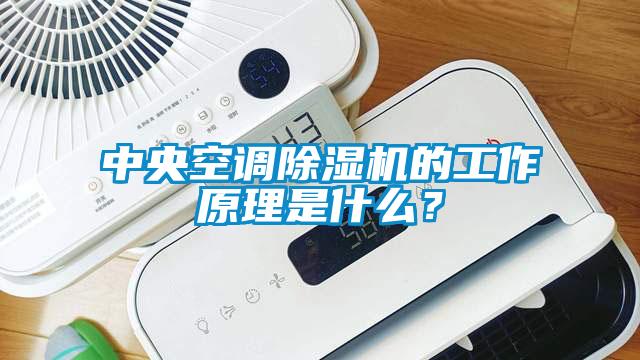 中央空調除濕機的工作原理是什么？