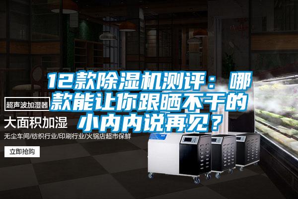 12款除濕機(jī)測評：哪款能讓你跟曬不干的小內(nèi)內(nèi)說再見？