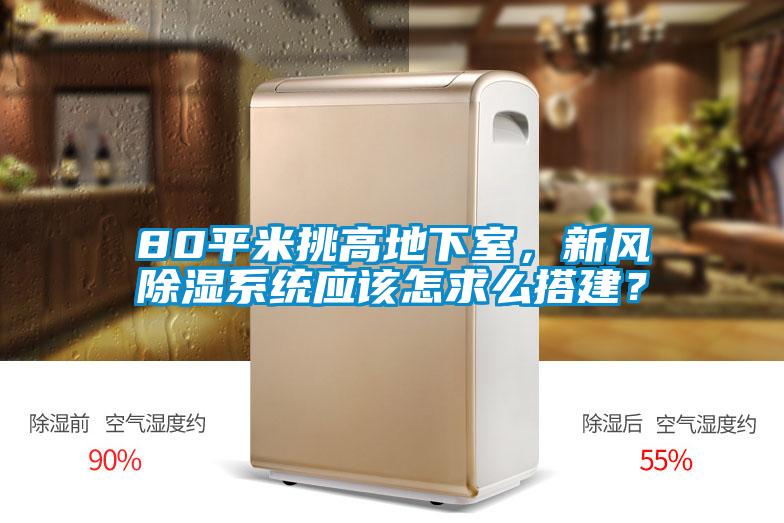 80平米挑高地下室，新風(fēng)除濕系統(tǒng)應(yīng)該怎求么搭建？