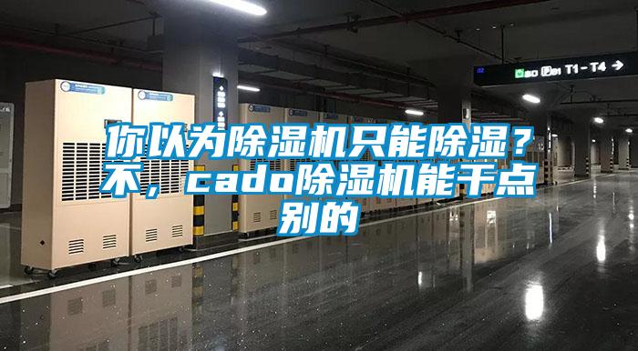 你以為除濕機只能除濕？不，cado除濕機能干點別的