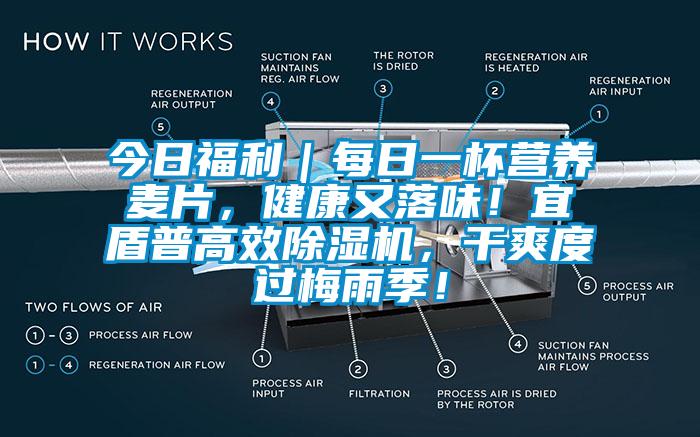 今日福利｜每日一杯營養(yǎng)麥片，健康又落味！宜盾普高效除濕機(jī)，干爽度過梅雨季！