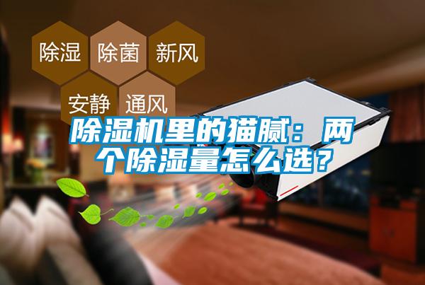 除濕機里的貓膩：兩個除濕量怎么選？