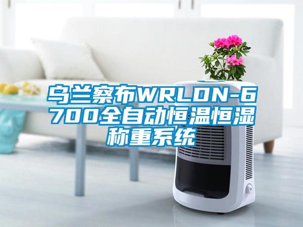 烏蘭察布WRLDN-6700全自動恒溫恒濕稱重系統(tǒng)