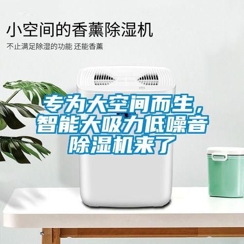 專為大空間而生，智能大吸力低噪音除濕機來了