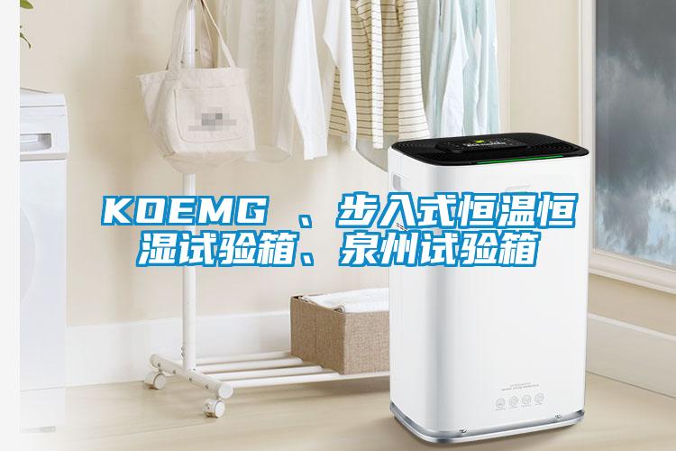 KOEMG 、步入式恒溫恒濕試驗(yàn)箱、泉州試驗(yàn)箱