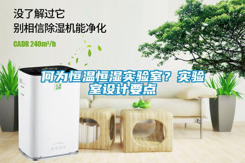 何為恒溫恒濕實(shí)驗(yàn)室？實(shí)驗(yàn)室設(shè)計(jì)要點(diǎn)