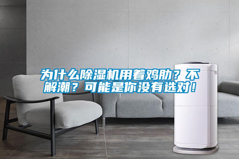 為什么除濕機(jī)用著雞肋？不解潮？可能是你沒有選對！