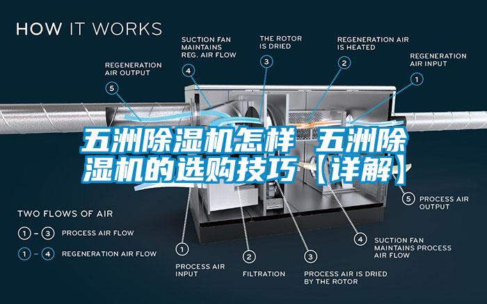 五洲除濕機(jī)怎樣 五洲除濕機(jī)的選購技巧【詳解】