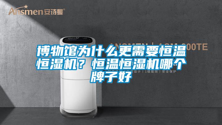 博物館為什么更需要恒溫恒濕機(jī)？恒溫恒濕機(jī)哪個牌子好