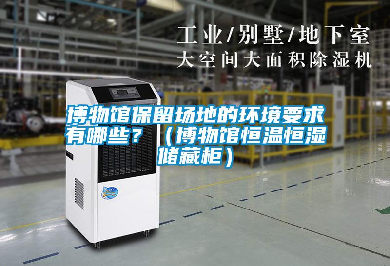 博物館保留場地的環(huán)境要求有哪些？（博物館恒溫恒濕儲藏柜）
